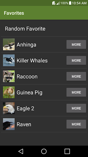 Chattering Critters Screenshot 3