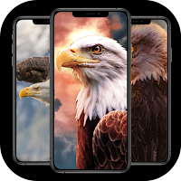 Eagle Wallpaper 4k