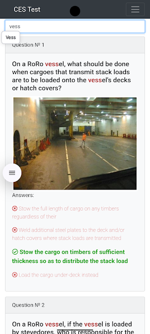 RORO cargo CHaS Management CES Screenshot 2