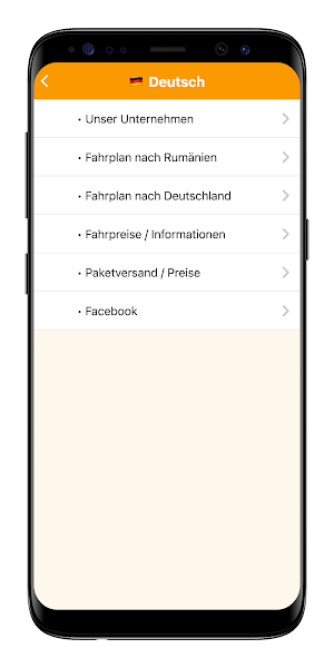 Balint Bus Screenshot 1