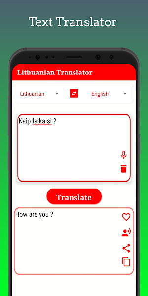 Lithuanian Translator Screenshot 3