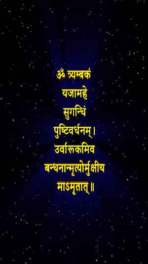 महामृत्युंजय मंत्र Screenshot 2