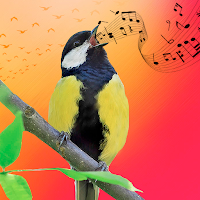 Bird Sounds, Calls & Ringtones