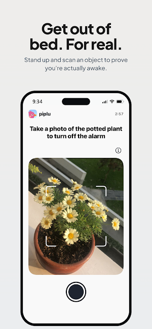 Piplu: Early Bird Alarm Clock Screenshot 3