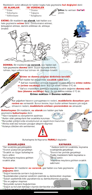 5.Sınıf Testleri Tüm Dersler Screenshot 1