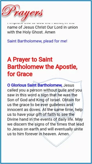 Saint Bartholomew Devotion Screenshot 3