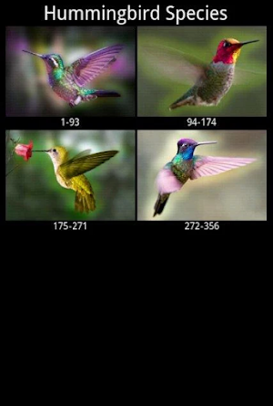 Hummingbird Species Screenshot 0