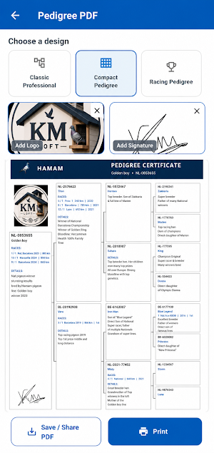 Hamam Screenshot 3
