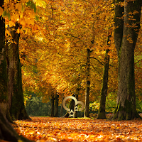 Autumn Wallpaper