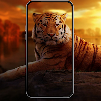Imagenes De Tigres