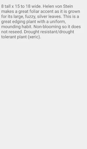 Stachys Helen Von Stein Screenshot 3
