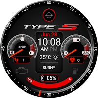 Type S Watch