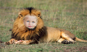 Loin Photo Frames Screenshot 2