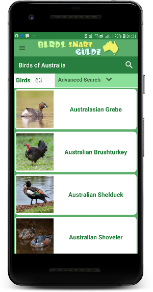 Australia Birds ID - Demo Screenshot 1