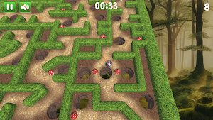 Tricky Maze Roller Screenshot 0