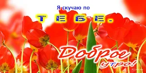 Доброе утро, Добрый день, Доброй ночи Screenshot 2