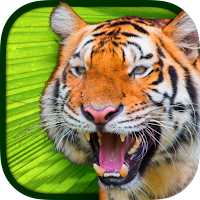 Virtual Reality Animals!