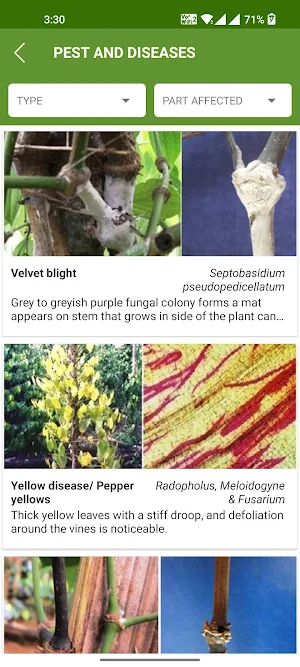 Malaysian PEPPER FARMERS - IPC Screenshot 3
