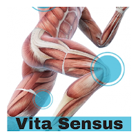 Vita Sensus