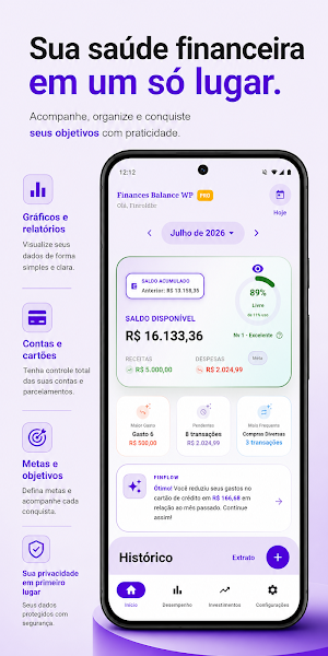 Finances Balance WP Screenshot 0