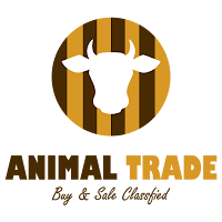 Animal Trade