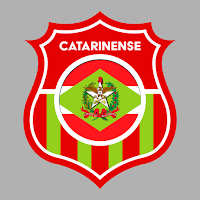 Campeonato Catarinense 2025