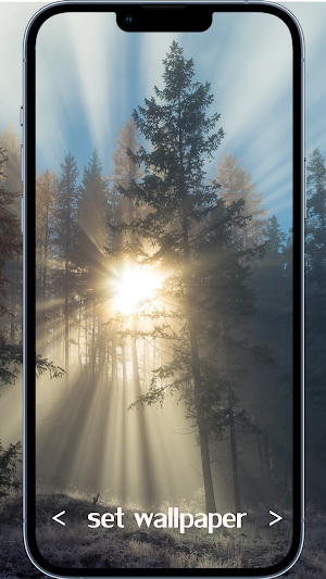 Wallpapers HD&4k Screenshot 2