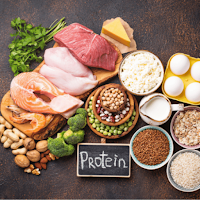 Protein Rich Foods