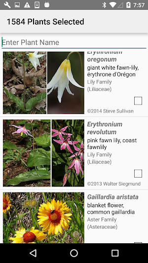BC Wildflowers Screenshot 1