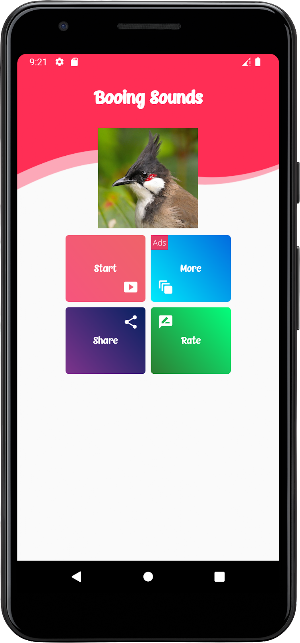 Red-whiskered Bulbul Sounds Screenshot 2