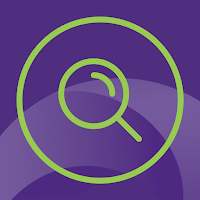Business Risk Services