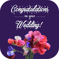 wedding congratulations