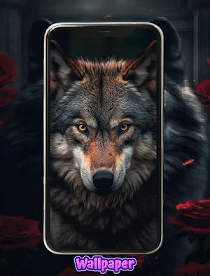 خلفيات الذئب Screenshot 1