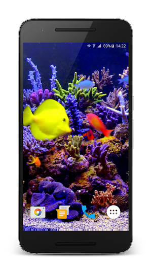 Aquarium Video Live Wallpaper Screenshot 1