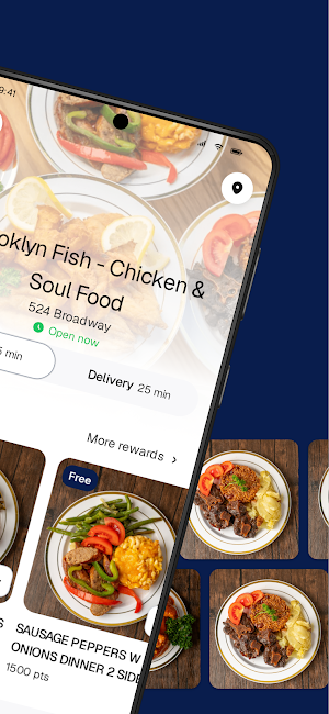 Brooklyn Fish - Chicken & Soul Screenshot 1