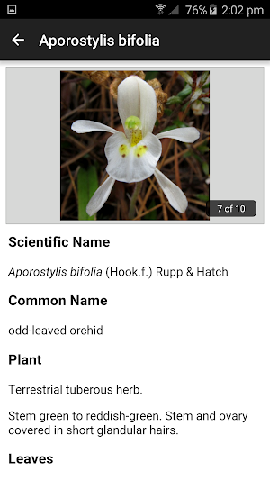 NZ Orchid Key Screenshot 3