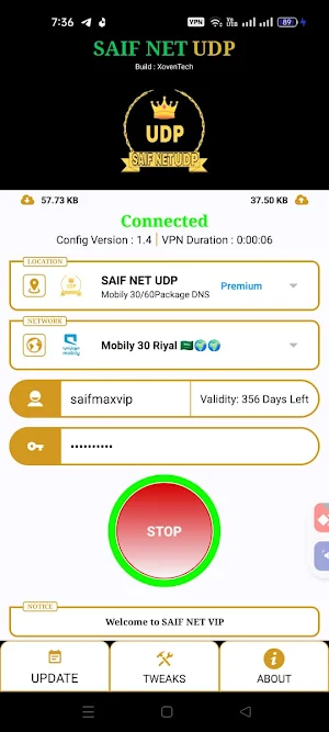 SAIF NET UDP Screenshot 2