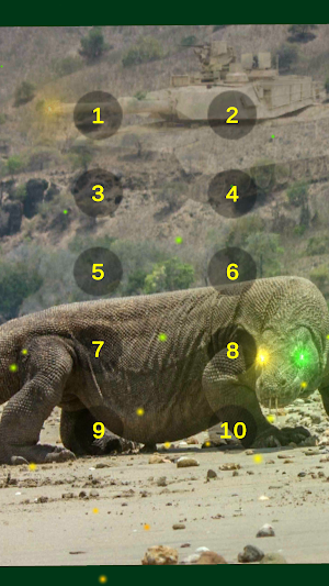 Komodo Dragon Danger Sounds Screenshot 2