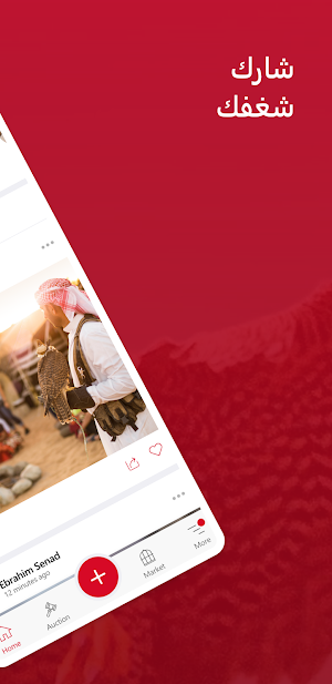 iFalcons Screenshot 3