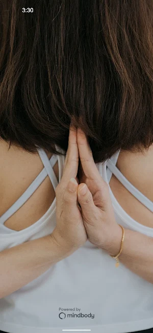 AYU YOGA Screenshot 0