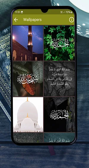 عبد الرحمن مسعد قرأن بدون نت Screenshot 2