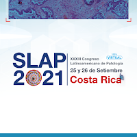 SLAP2021