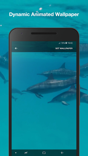 Dolphins Live Wallpaper Screenshot 1