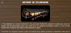 Xylophone Instrument Screenshot 3