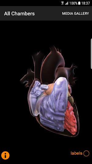 CardioSmart Heart Explorer Screenshot 2