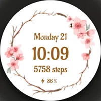 DADAM16 Flower Watch Face