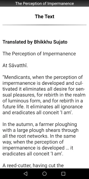 The Perception of Impermanence Screenshot 1