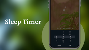 Rainforest Sounds Screenshot 3