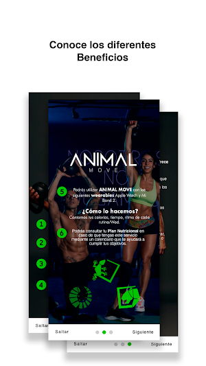 Animal Move Screenshot 3