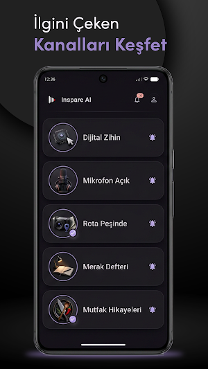 InspareAI Screenshot 1
